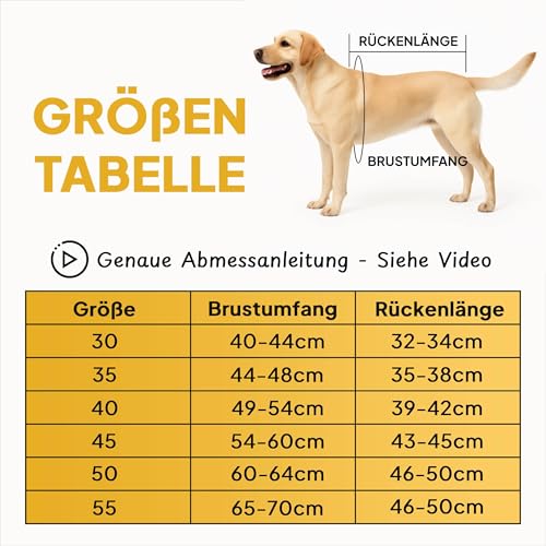 Tierhood Regenmantel Hund - Hunderegenmantel wasserdicht- Reflektierende Regenjacke Hund - Hundemantel inkl. Geschirr Wasserdicht
