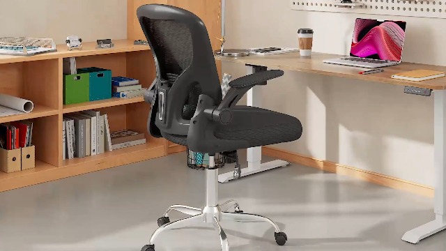 Amazon.com: DEVAISE Office Chair Ergonomic Computer Desk