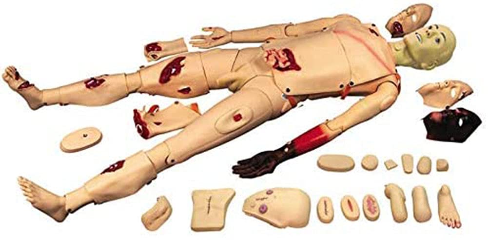 LYDBMYT Manikin Advanced First Aid Training Simulation Burn Model Manikin Teaching Mannequin Full-Featured Wound Care Person Medical Educational Training Aid