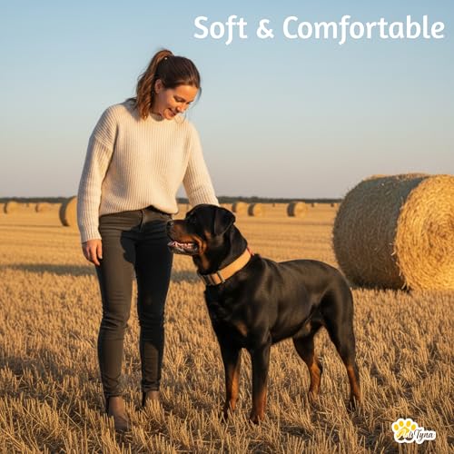 Image of ADITYNA Leather Dog Collar for Large & Extra Large Dogs, Adjustable 19-30 inch | Padded, heavy-duty metal buckle. Great for walking, training - ideal for Rottweiler, German Shepherd, Mastiff and Great Dane.