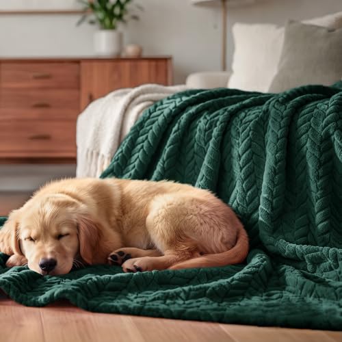 Image of Exclusivo Mezcla Soft Fleece Bed Blanket Queen Size, 90 inchx90 inch, Forest Green