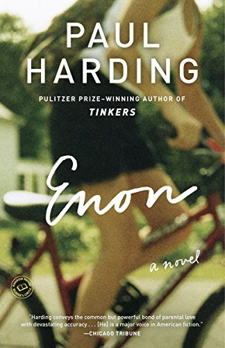 Enon: A Novel view 2