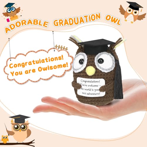 Image of Mini Funny Positive Crochet Owl with Cap for Her Him, 2026 Graduation Gifts Emotional Crochet Animals High School Graduation Gifts for Friends Teacher Office Decor