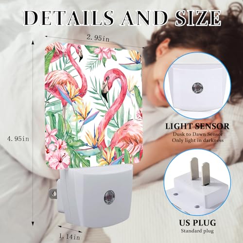 Image of Summer Flamingo Night Light, Plug-into Wall Palm Tree Tropical Flower Nightlight Lamp with Dusk to Dawn Sensor, Led Lamp 0.5W Energy Efficient for Boys Girls Adults Home Decor