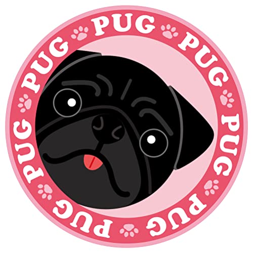 ߂ pO ubN mn  XebJ[ sNobN ی^ LTCY MK-3