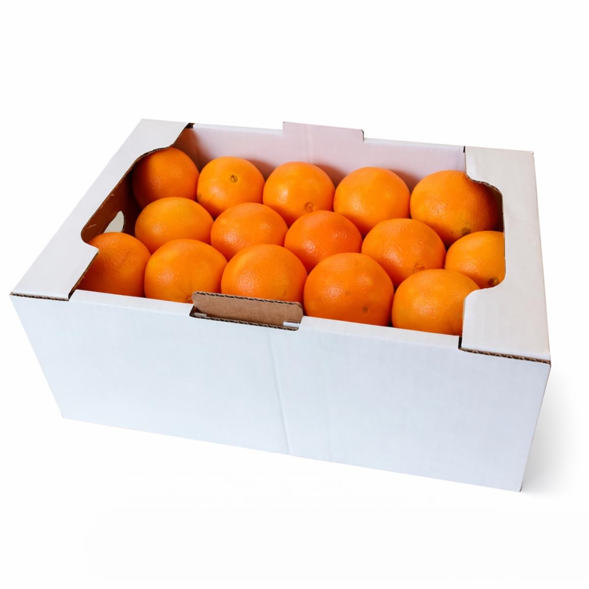 FRUCHTVERSAND24 Orangen, Saftorangen, Inhalt: 8kg, Ideal zum auspressen, süß saftig lecker, das Original, Qualität vom Fachmann