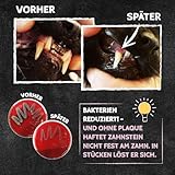 QCHEFS ZAHNPUTZFLOCKEN Katze Zahnpflege zum Lecken von Schleckmatte mit Nassfutter, Lachsöl, Katzenmilch, Malz Paste, Katzenfutter oder Leckerli