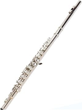 Woodwind Instruments 16 Hole E Key C Nickel Plated Closed Hole Flute Silver Flute Copper Musical InstrumentLuggage