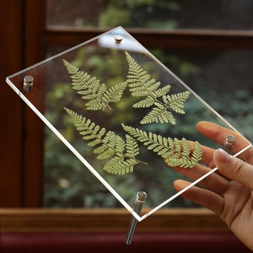 Cadre d'affichage transparent pour protéger vos herbiers DIY - 4