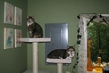 Review Image by Lotus54 Lotus54