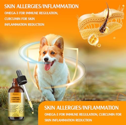 Kurkum- und Curcumin Tropfen für Hunde & ältere Hund & ArbeitsHunde: Gelenkbeweglichkeit und -flexibilität, Schmerzgenesung, Verdauung, Gehirn, Leber, Knochen, Muskeln, Haut, Fell – bessere Resorption