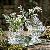 2PCS Small Bubble Glass Bud Vase: Light Weight Short Wide Mouth Crystal Clear Vase - Mini Aesthetic Funky Vase for Hydroponic Plants, Dried Flowers, Table Centerpiece, Coffee Side & Desk Modern Decor