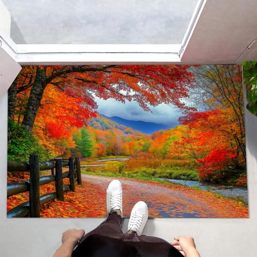 Tapis lavable résistant de qualité supérieure pour entrée de maison - 5