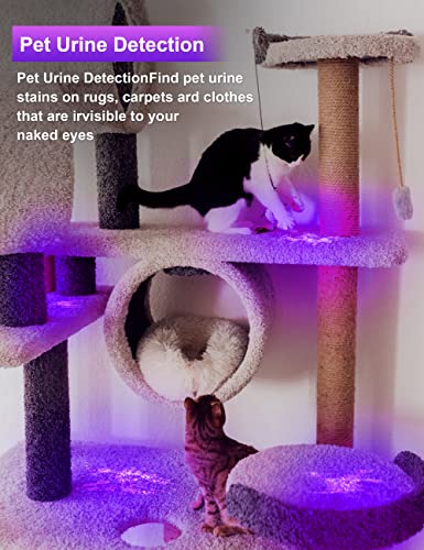 Fulighture Black Light Flashlight Mini, Small Uv Black Light For Pet, Urine Detection For Dog Cat, Portable Ultraviolet Blacklight Flashlights 395Nm, Resin Curing, Bed Bug, Aaa Batteries Included #TOP1