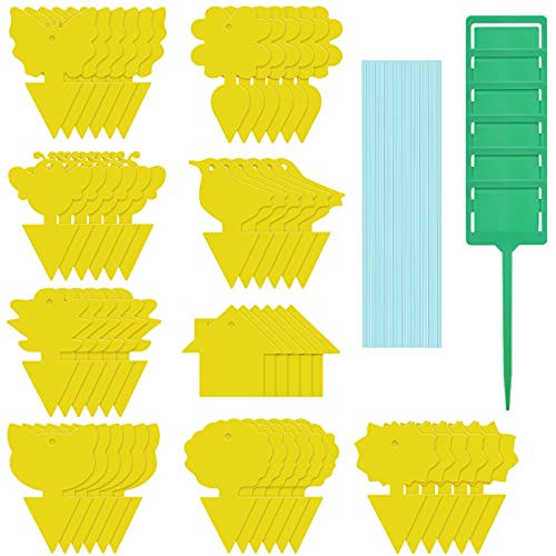 54 Pieces Sticky Fruit Fly Trap Gnat Killer Disposable Sticky Fly Traps for Indoor and Outdoor Fungus Gnat Trap Killer Plant Insect Catcher for White Flies, Mosquitoes, Flying Insect