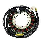 Applicazione: Bobina statore volano magnete per CBR900RR CBR919RR Fireblade 1996-1999