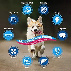 Dog-Vitamins-Powder-Probiotics-Digestive-Enzymes-for-Gut-Health-Glucosamine-Chondroitin-Omega-3-Complete-Supplement-for-Homemade-Dog-Food-Joint-Skin-Immune-Support-Dog-Allergy-Relief - Cucciolini Doodles   Dog-Vitamins-Powder-Probiotics-Digestive-Enzymes-for-Gut-Health-Glucosamine-Chondroitin-Omega-3-Complete-Supplement-for-Homemade-Dog-Food-Joint-Skin-Immune-Support-Dog-Allergy-Relief