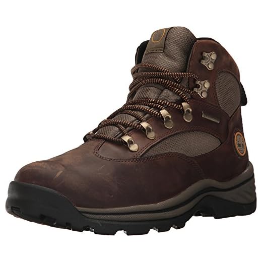 Timberland Men's Chocorua Trail Mid Waterproof Snow Shoe, Brown/Green, 11 D - Medium