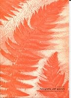 Photography Sees the Surface 0930042921 Book Cover