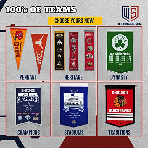 NFL Cincinnati Bengals Heritage Banner