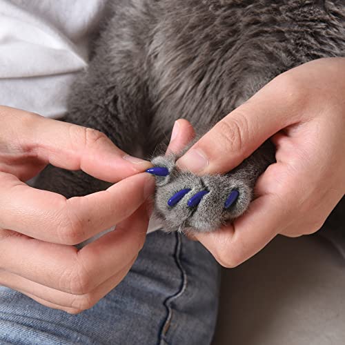 Image of Kitty Caps Nail Caps for Cats Spring Green with Glitter & Ultra Violet - Safe Stops Snags and Scratches, Medium (9-13 lbs), (FF9310PCS3) (Pack of 3)