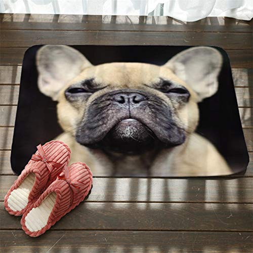 Nunubee Flannel Felpudo Entrada Exterior e Interior Entrada Antideslizante Alfombra Terraza Cocina Hogar Hogar Alfombra- Lindo Bulldog francés-7 19.7 * 31.5 Inch/ 80 * 50 cm