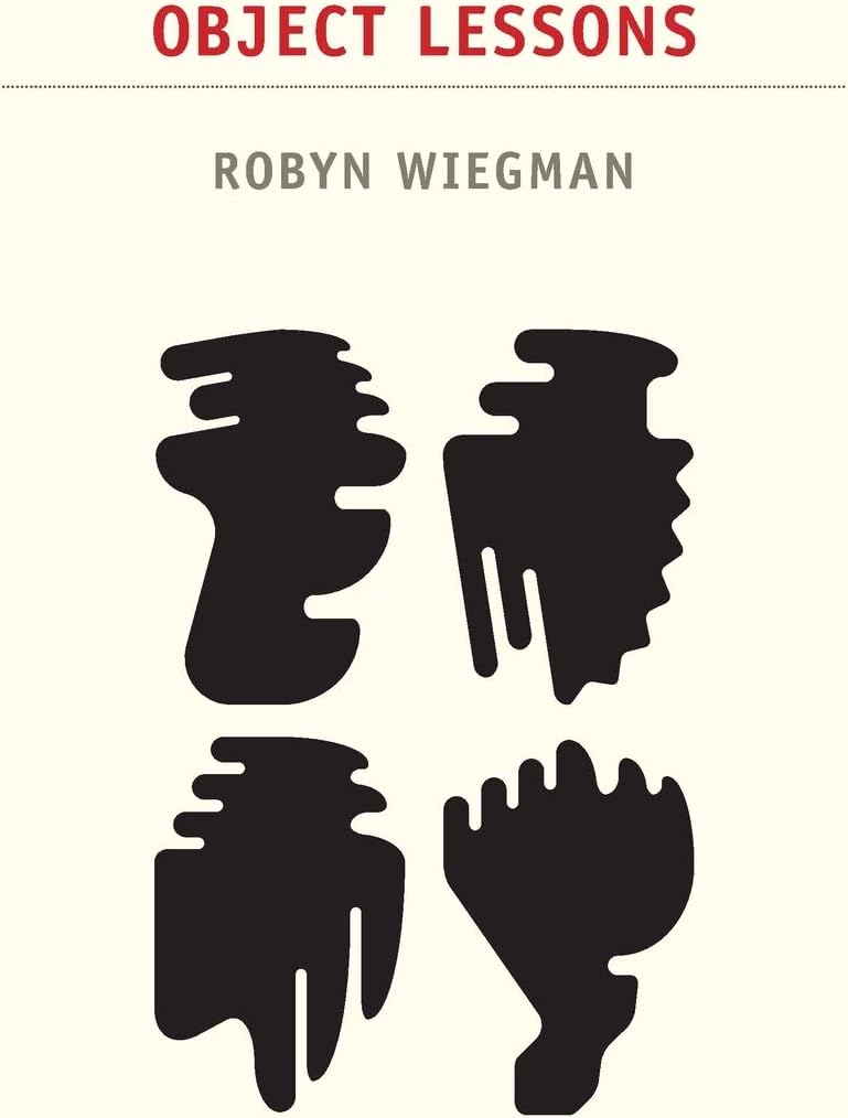 Object Lessons (Next Wave: New Directions in Women's Studies)