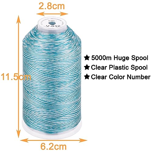 Image of New brothread - Single Huge Spool 5000M Each Polyester Embroidery Machine Thread 40WT for Commercial and Domestic Machines - Variegated Color-V-032