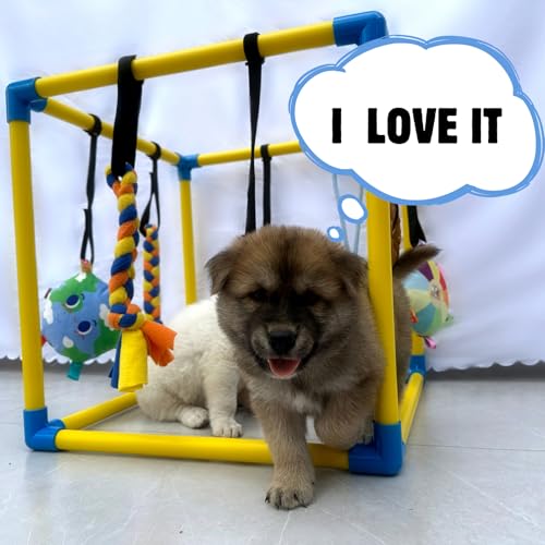 image for Dewonch Puppy Play Gym with 8 Hanging Toys, Small Dogs Indoor Jungle G