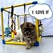 Dewonch Welpenspielstudio mit 8 hängenden Spielzeugen, kleine Hunde Indoor Dschungel Gym, PVC-Rahmen mit Bungee-Gurten Bereicherung Activity Center