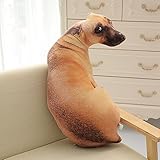 maipo  MAIPAI Coussin en peluche 3D - 50 cm - Jouet réaliste en peluche - Pour enfants, canapé, chaise, décoration de la maison (chien)