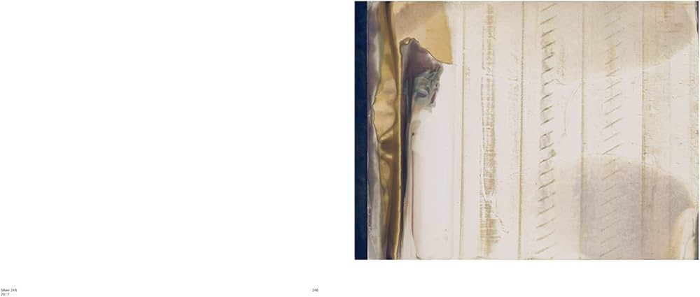 Wolfgang Tillmans: Manual ハードカバー 41N4QRFbTiL.jpg_BO30,255,255,