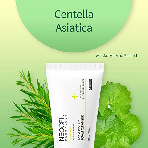 Dermalogy By Neogenlab A-Clear Soothing Foam Cleanser 3.38 Oz (100Ml) - Clogged Pores & Sebum Cleansing Foam For Acne-Prone Skin With Salicylic Acid, Tea Tree, Centella Asiatica - Korean Skin Care #TOP3