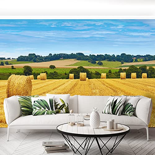 Papier Peint Foins 416x254cm Tulup Décoration Murale Maison Moderne Bricolage - 5