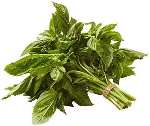 MEYER FARMS Organic Basil, 0.75 OZ
