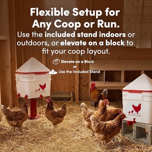 RentACoop 2 Gallon Chicken Waterer with 4 Auto-Fill Water Cups, 4 Horizontal Nipples, and Custom Adjustable Stand; BPA-Free; Large Capacity Poultry Waterer- Center Placement by RentACoop - Image 5