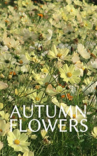 日本の秋の風景 四季の自然の写真集: 身近にある美しい自然 版権フリー、商用利用可の写真集 (扇デザインスタジオ)