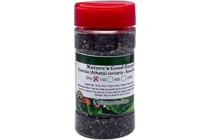 Roving Pest Eradicators: Dalotia (Atheta) coriaria Rove Beetles (100/Pack)