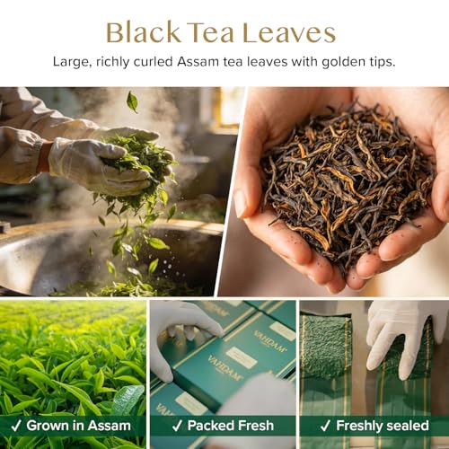 Image of VAHDAM, Assam Gold Second Flush (50 Cups) | RICH & MALTY ASSAM TEA Loose Leaf | 100% PURE UNBLENDED Black Tea Loose Leaf | Black Tea Leaves with GOLDEN TIPS | Brew as Hot, Iced Tea or Latte | 3.53oz