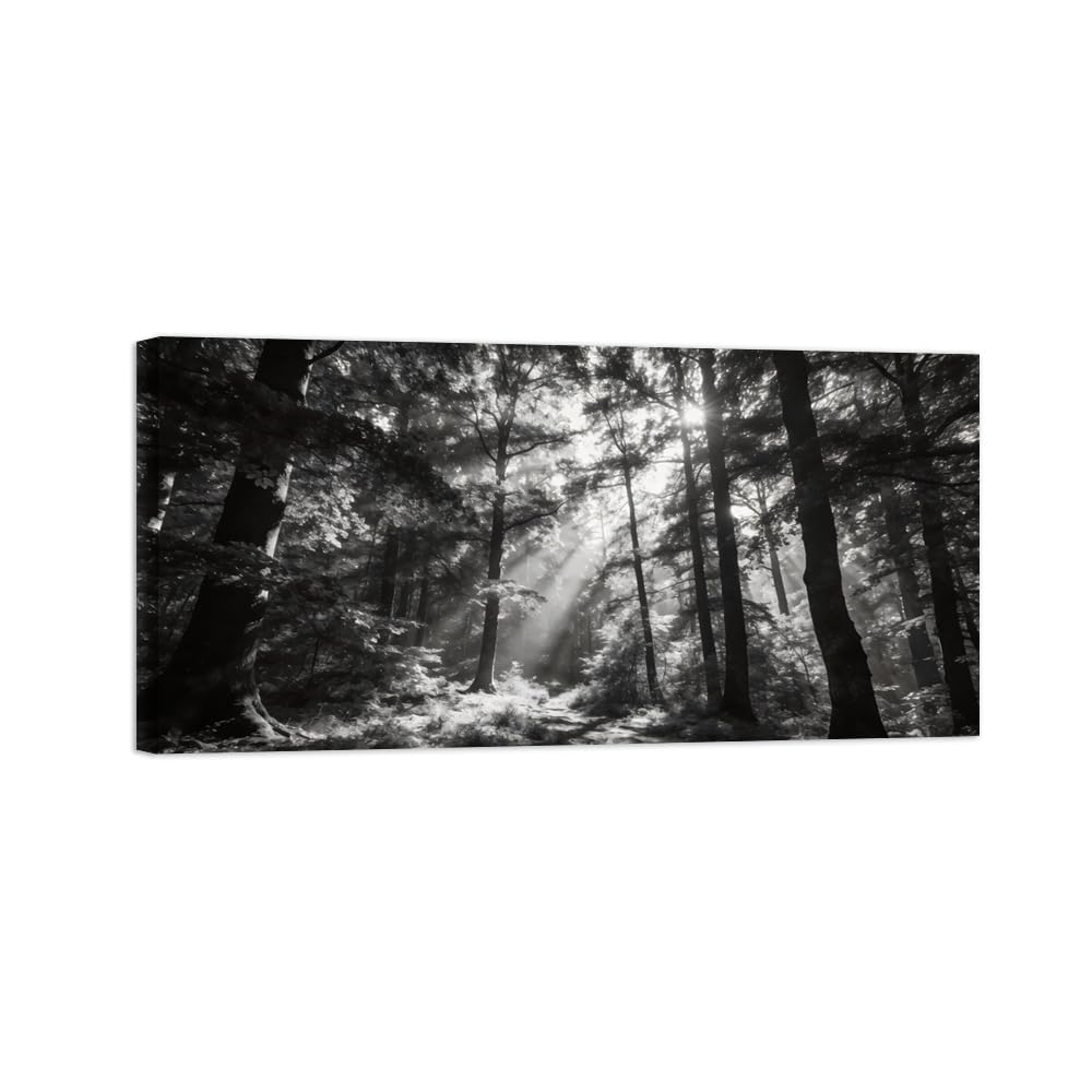 Black White Landscape Wall Art. Forest Sunshine. Picture 50x100cm Unframed