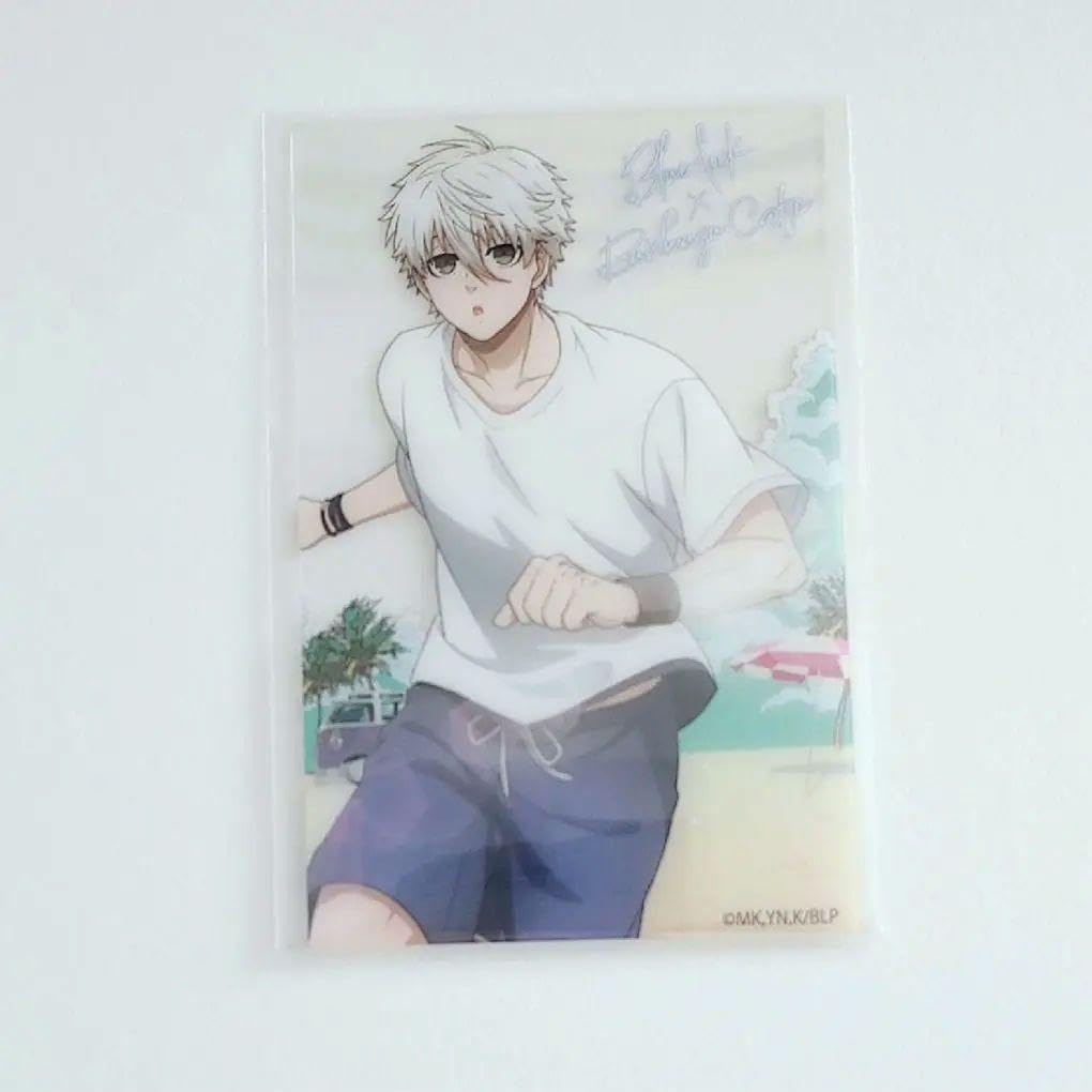 Amazon.co.jp: Yプロフ必読現出910まで様 リクエスト 3点 まとめ商 N  