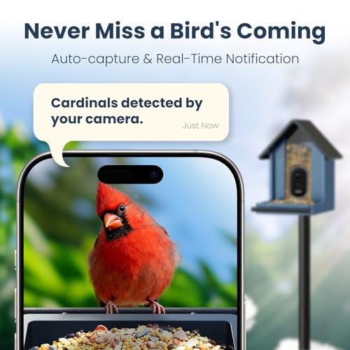 Image of Smart Metal Bird Feeder with Camera, Deep Blue