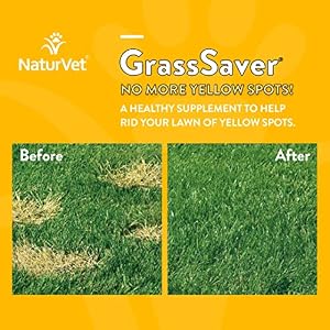 NaturVet – GrassSaver Supplement for Dogs – Healthy Supplement to Help Rid Your Lawn of Yellow Spots – Synergistic Combination of B-Complex Vitamins & Amino Acids – 240 Soft Chews NaturVet – GrassSaver Supplement for Dogs – Healthy Supplement to Help Rid Your Lawn of Yellow Spots – Synergistic Combination of B-Complex Vitamins & Amino Acids – 240 Soft Chews