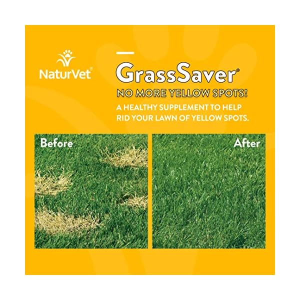 GrassSaver Wafer Supplement, Removes The Yellow Spots on Your Grass From Dog Urine, Includes Healthy Enzymes, Made by NaturVet, 300 Count (pack of 1) GrassSaver Wafer Supplement, Removes The Yellow Spots on Your Grass From Dog Urine, Includes Healthy Enzymes, Made by NaturVet, 300 Count (pack of 1)