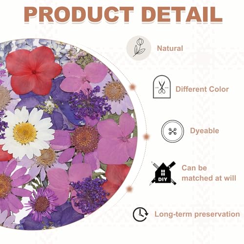 Hojas de flores secas prensadas PATIKIL 38 piezas miniatura 3