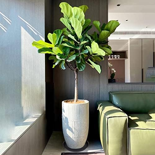 Miniatura 2 de Paquete 2 platos 14 pulgadas para plantas, resistentes, bandejas redondas de plástico para macetas, para agua, interiores, bandeja de goteo para