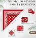 YSense 30 Pieces Paisley Bandana Unisex Multi-Purpose Bandanas Bulk Cowboy Headbands Square Scarf Head Wrap for Women Men