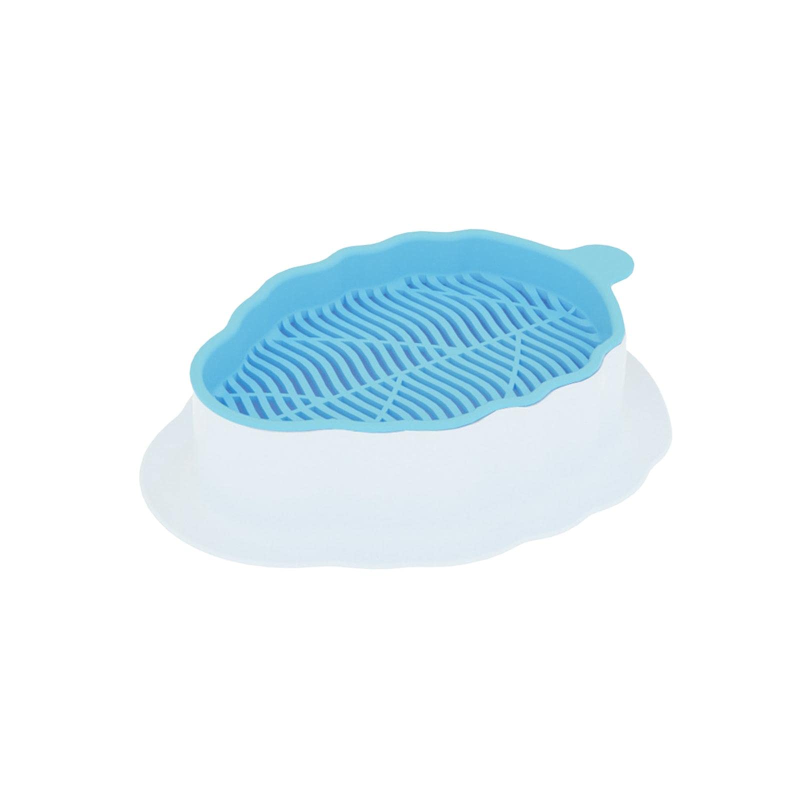 Cats Grass Sprouter Tray with Drain Holes for Garden Greens Greenhouse White Color Blue-image-9