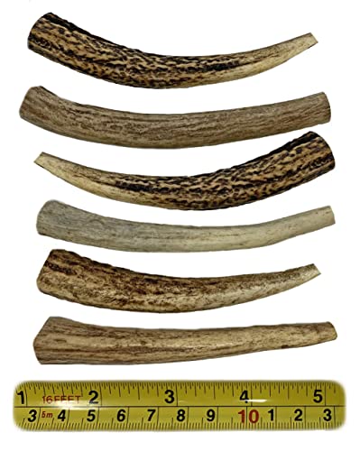 Whitetail Naturals - Antlers For Small Dogs (6 Pack) Deer Antler Dog Chew Bones For Small To Medium Aggressive Chewers - Long Lasting Horn Chew Toys - Naturally Shed #TOP2