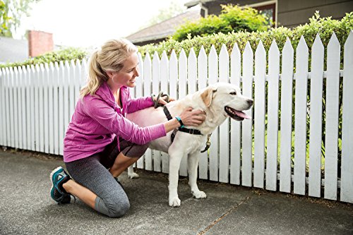 Fitbit Alta, Braccialetto Wireless Monitoraggio